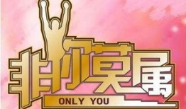 非你莫属最新爆料,揭秘职场风云再起，精彩瞬间不容错过！