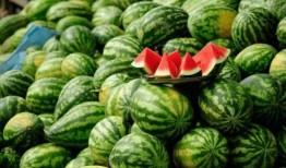 吃瓜都要吃网红瓜,紧跟潮流，畅享网络美食