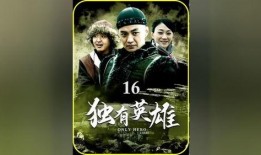 独有英雄全集在线观看,揭秘传奇英雄的传奇历程